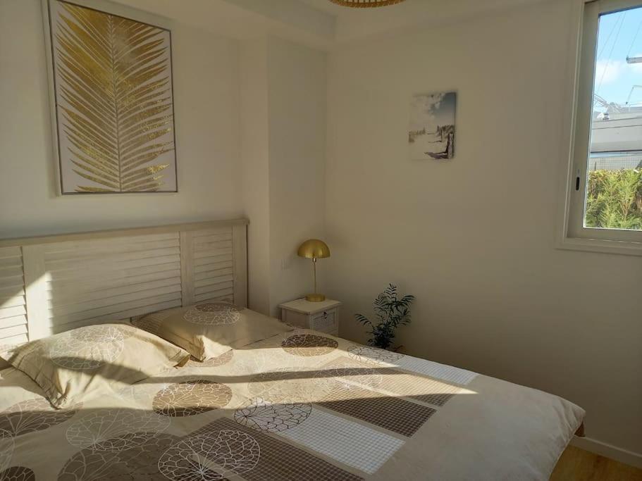 Appartement 100 M2 Terrasse Piscine Gruissan Exterior foto